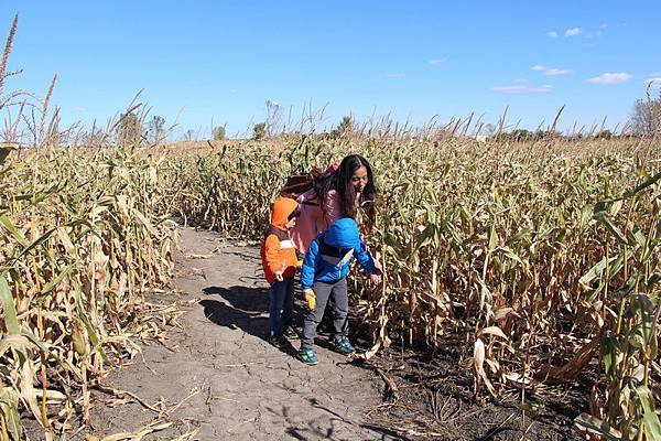 IMG_1661_調整大小