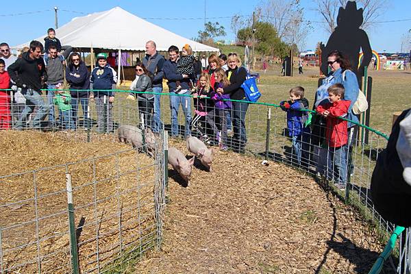 IMG_1654_調整大小