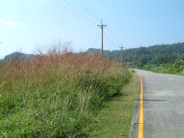 環島小徑