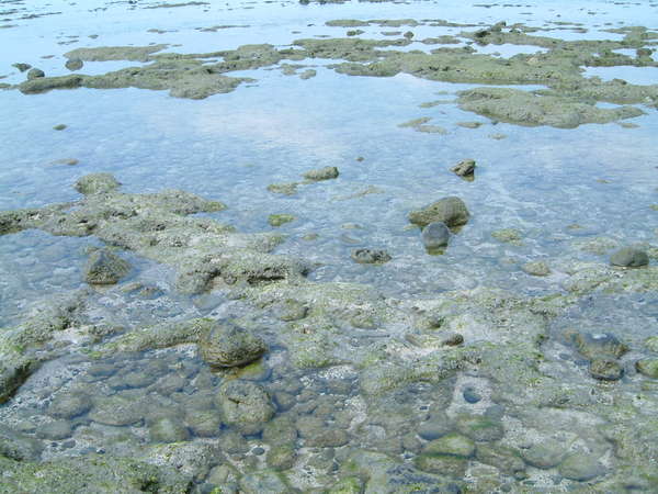 海水如同湖水一般清澈