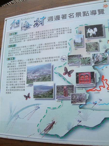 我愛旭海