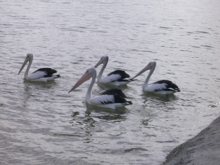 P1020463.JPG