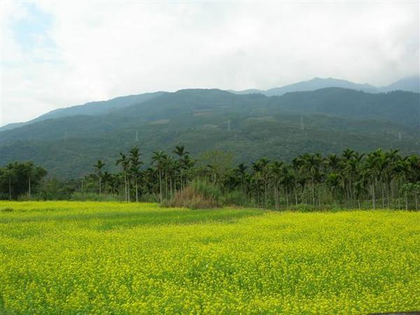 往山那照去