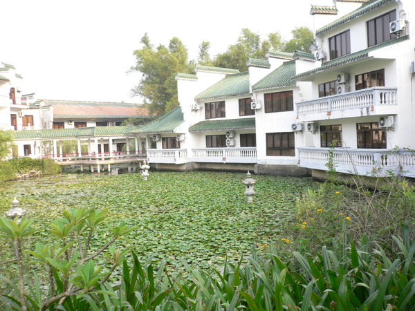 P1030831.JPG