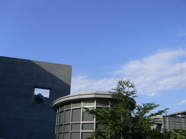 P1040263 (Medium).JPG