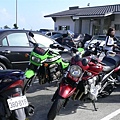 P1040374 (Medium).JPG