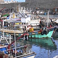 P1040380 (Medium).JPG