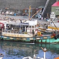 P1040381 (Medium).JPG