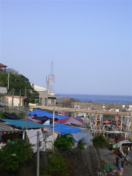 P1040382 (Medium).JPG