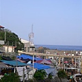 P1040382 (Medium).JPG