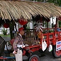 這位伯伯很辛苦,就靠這隻牛來拉車討生活