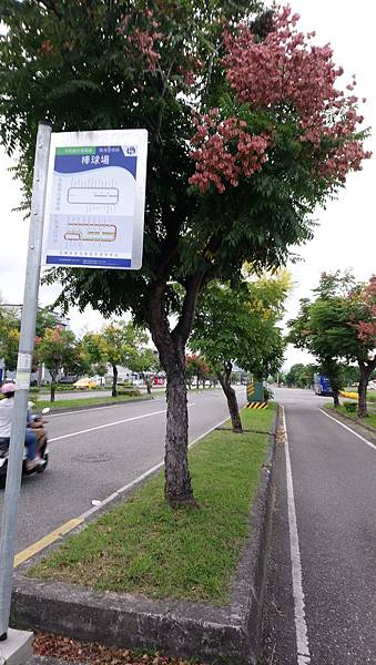 棒球場站(往火車站方向路線東邊)(順及逆皆可停靠)TTB-2.JPG