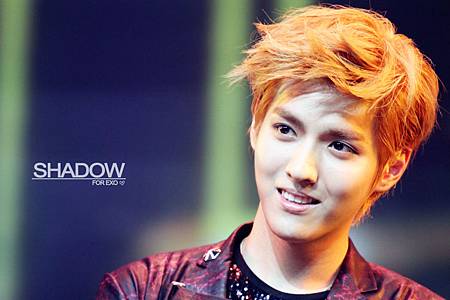 exo-kris-by-shadow