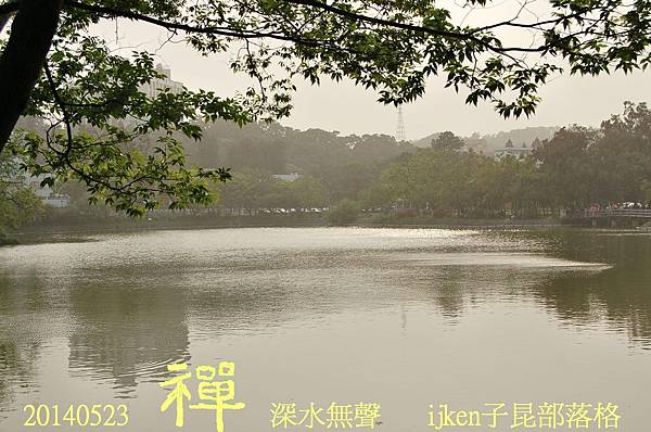 CSC_9219 CSC_9219