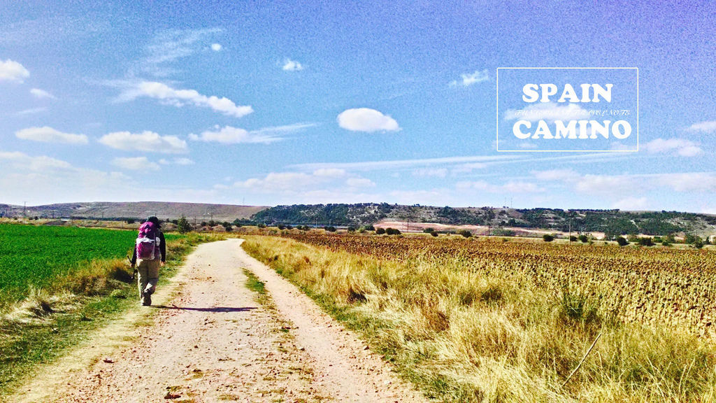 下午三點的烈日.jpg 下午三點的烈日.jpg