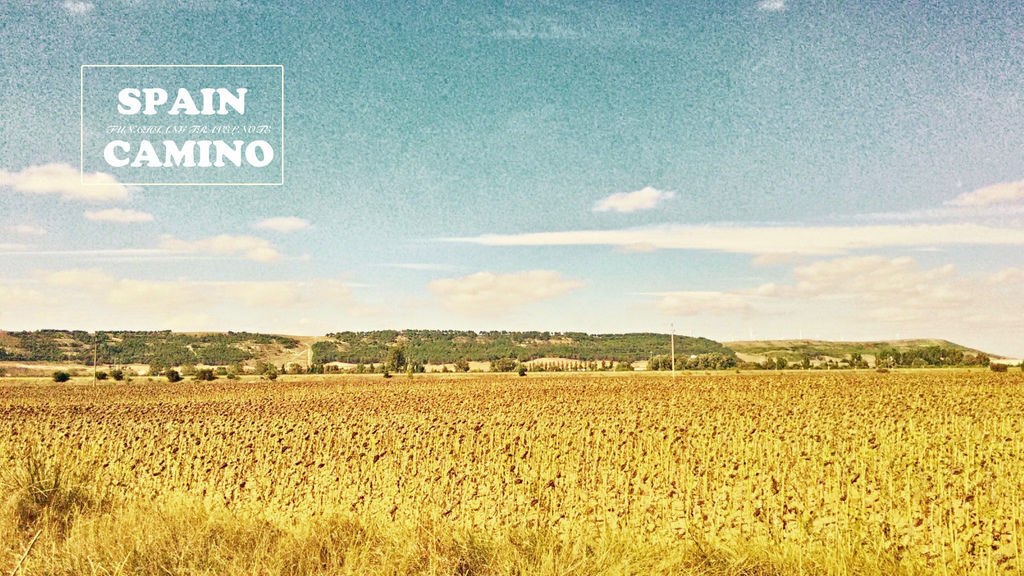 PM 300.jpg PM 300.jpg