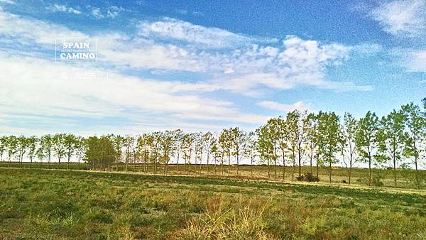 camino day.17 0926_6538拷貝.jpg camino day.17 0926_6538拷貝.jpg