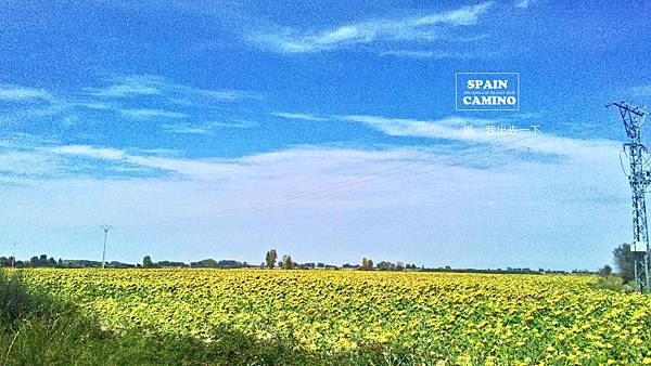 camino day.17 0926_2678拷貝.jpg camino day.17 0926_2678拷貝.jpg