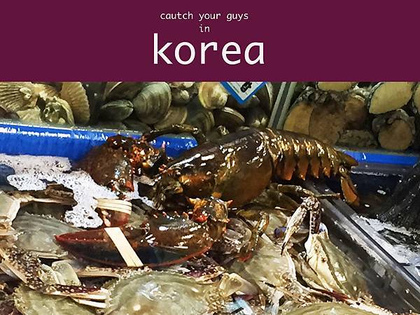 漁市場.jpg 漁市場.jpg