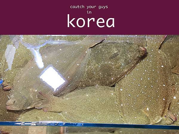 漁市場5.jpg 漁市場5.jpg