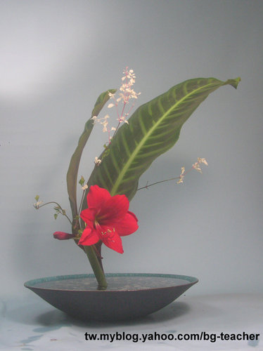 池坊立花新風體 生花新風體 自由花98 09 教學孤挺花五變化 寶桂老師的池坊華道教室 痞客邦 池坊立花新風體 生花新風體 自由花98 09 教學孤挺花五變化 寶桂老師的池坊華道教室 痞客邦