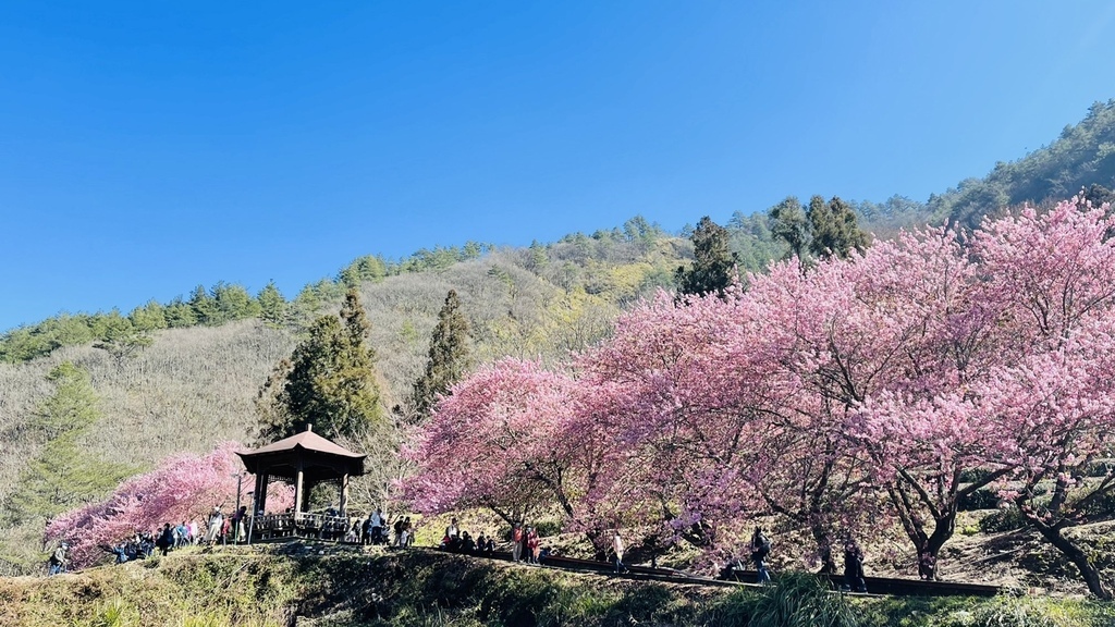 S__67674272.jpg S__67674272.jpg