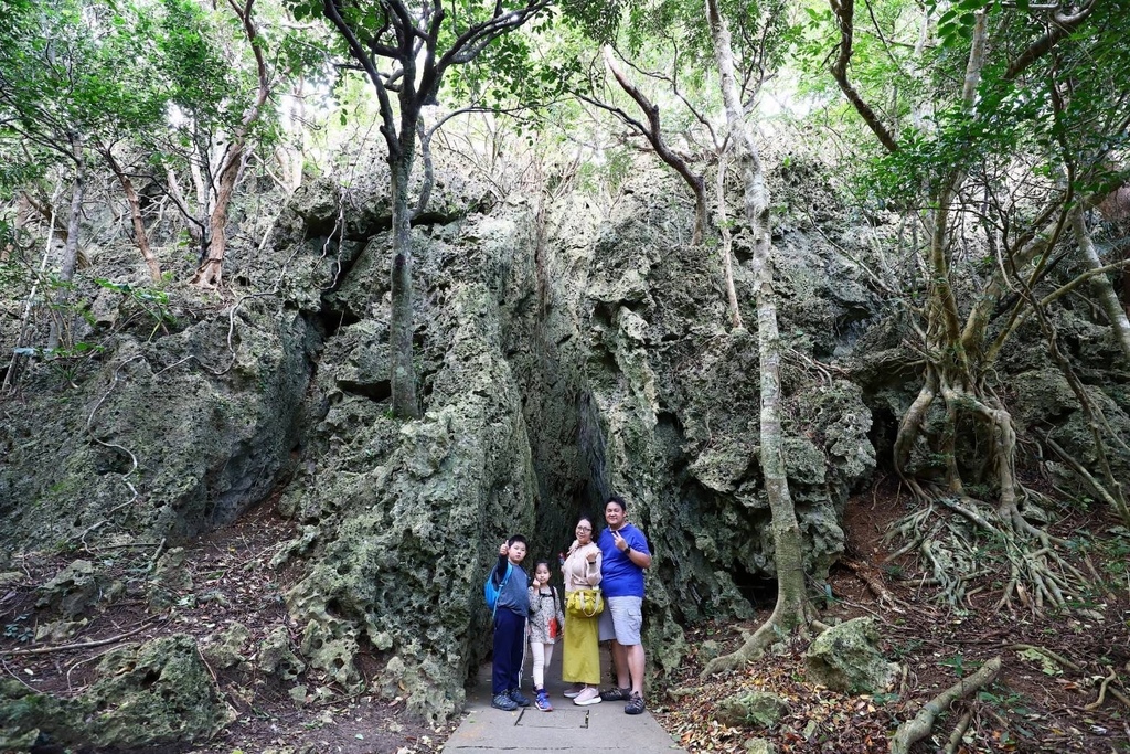 S__67846998.jpg S__67846998.jpg