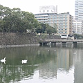 皇居是日本天皇住的地方，外圍有一道護城河，古今中外帝王如出一轍的都怕死XD