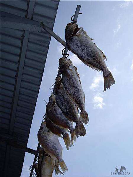 生活中的眼界 澳門 曬鹹魚 白目不是目白 痞客邦