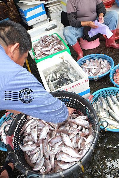 蘇澳漁港旁魚市場 Dscf5038 Jpg 白目不是目白 痞客邦 蘇澳漁港旁魚市場 Dscf5038 Jpg 白目不是目白 痞客邦