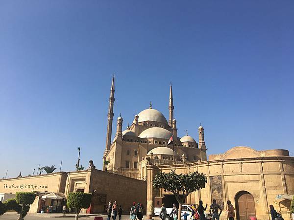 IMG_7085.JPG IMG_7085.JPG