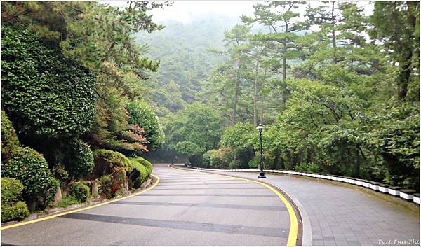 [韓國釜山]太宗臺遊園區태종대유원지(부산)|遊園列車介紹(