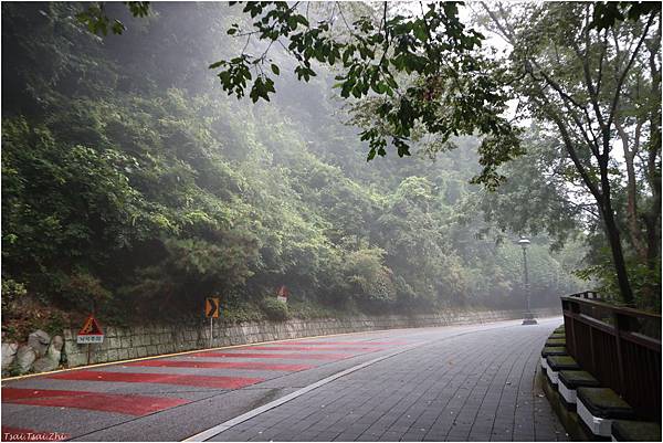 [韓國釜山]太宗臺遊園區태종대유원지(부산)|遊園列車介紹(