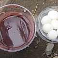 DSC100075.JPG