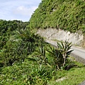環P1010237.JPG