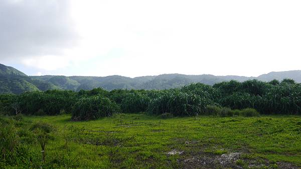 環P1010243.JPG