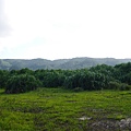 環P1010243.JPG