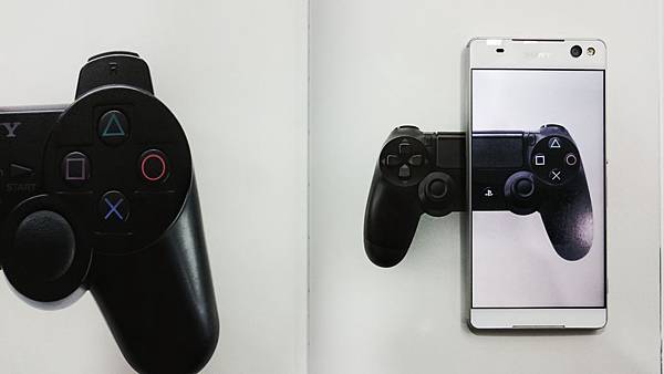 DSC_3693-01 DSC_3693-01