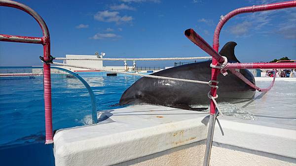 Z5&amp;Z5P 遊記隨手拍分享~沖繩篇