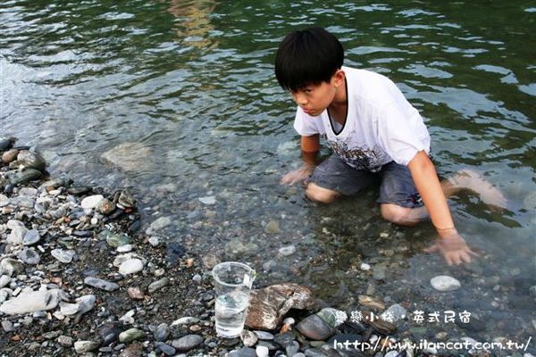 宜蘭民宿戀戀小棧~這位小弟抓魚抓的很高興