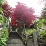 DSC02438 DSC02438