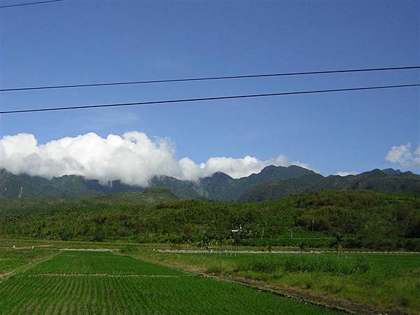 翠綠的田野