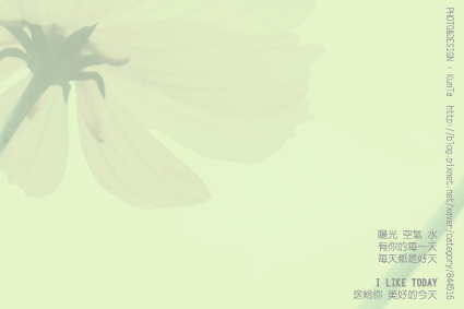 花影 Blue shadow 背面