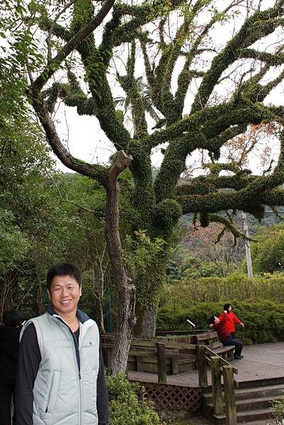 100.02.03-過年宜蘭太平山 (50).JPG