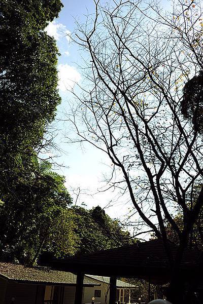 DSC_7105_s DSC_7105_s