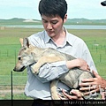 馮紹峰在《狼圖騰》拍攝現場身著戲服與小狼親密互