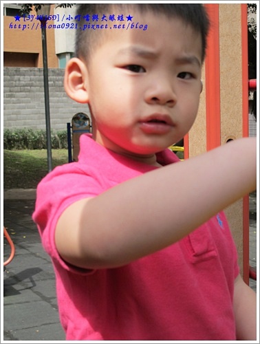 IMG_5870 IMG_5870