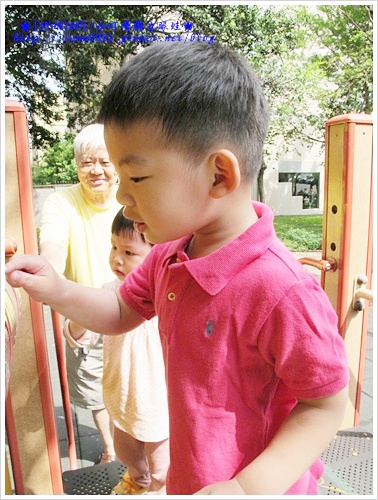 IMG_5878 IMG_5878