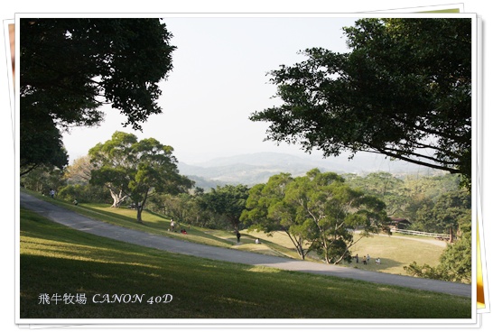 飛牛24+.JPG