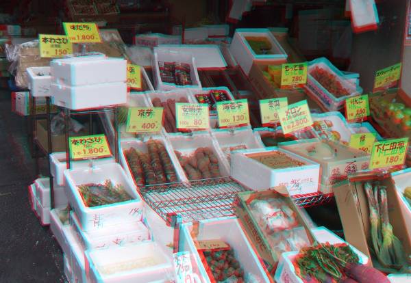 Fish_03.JPG Fish_03.JPG